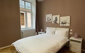 Schei Central Studio Rooms In The Heart Of Brasov